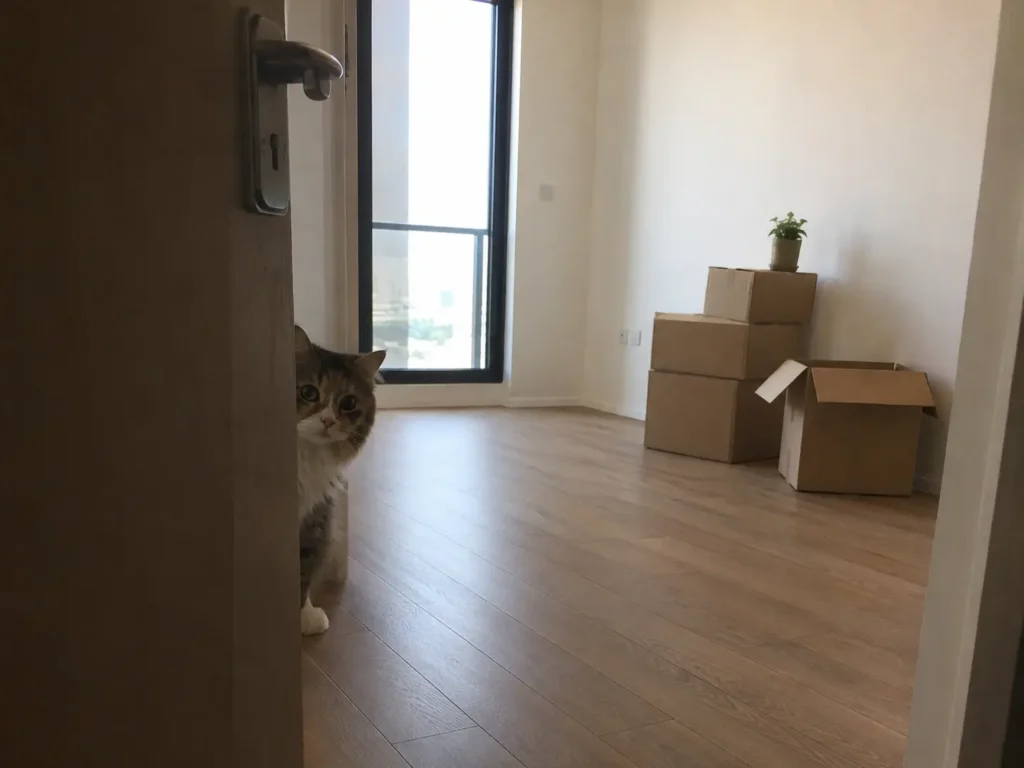 Moving day with pets Dubai settling into new home
