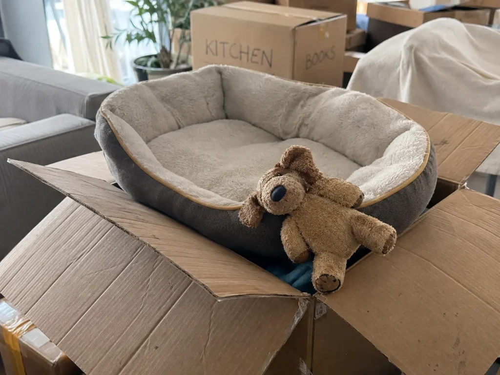 Moving day with pets Dubai packing pet items last